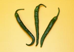 海浜幕張の居酒屋「大衆酒場 ムロヒガシ」：炭火串焼きとリーズナブルな価格で気軽に楽しめる人気店の魅力